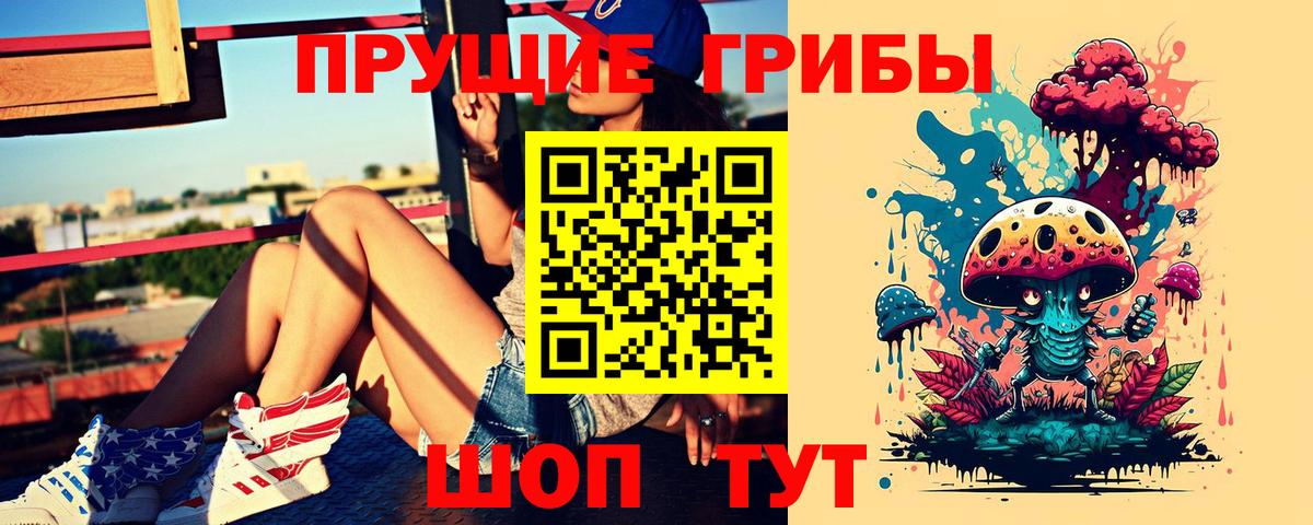 Галлюциногенные грибы Psilocybine cubensis Севастополь