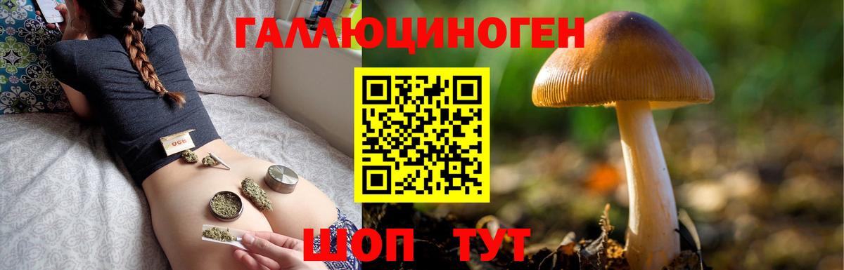 купить наркоту  Галлюциногенные грибы ЛСД  Севастополь  Вход с VPN  Псилоцибиновые грибы Psilocybe 